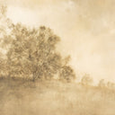 Revival Essence Revival by Aileen Fitzgerald - 40X30