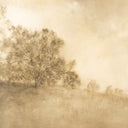 Revival Essence Revival by Aileen Fitzgerald - 60X40