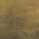 Vista Expanse by Aileen Fitzgerald - White Oak 36X24