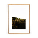 Blackbird Fly by Annie Spratt - 40X60