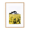 Luxe Artistry In The Wind by Annie Spratt - Default Title