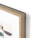 Natural Pot Plant I by Dan Hobday - 36X48