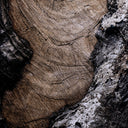 LuxeVista Char VI by FH Art Studio - 32X48