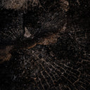 Aetherial Char XI by FH Art Studio - 60X40