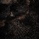 Aetherial Char XI by FH Art Studio - 30X20