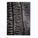 Charisma Char IV by FH Art Studio - Default Title