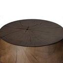 Stylish Nori End Table