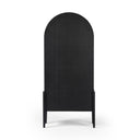 Aveline Tolle Panel Door Cabinet - Drifted Matte Black
