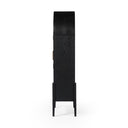 Aveline Tolle Panel Door Cabinet - Drifted Matte Black