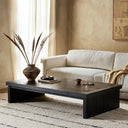 Jett Coffee Table - Worn Black Veneer
