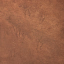 Celeste Flesh Of The Earth by Aileen Fitzgerald - 40X30