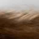 Atelier Noire Reality Unfurled by Toni Toscano - 30X20 Framed Metal