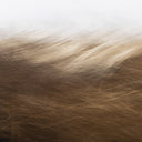 Atelier Noire Reality Unfurled by Toni Toscano - 32X24 Framed Paper