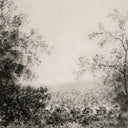 Natures Palette Landscape Study II by Aileen Fitzgerald - Default Title