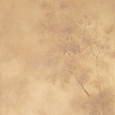 Arbor Heights Towering Oak by Aileen Fitzgerald - 18X24