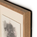 Aurelian Tree Sketch I by Coup Desprit - 40X60