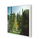 Aurelia Les Sophores by Slim Aarons - 48X32