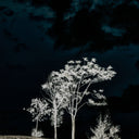 Luxe Artistry Theres A Lack Of Color Here by Getty Images - 48X72