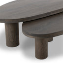 Aveline Zion Nesting Coffee Table Set - Grey Tobacco Oak