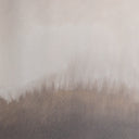 Distinct Transition by Jess Engle - 20X30