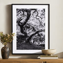 LuxeVista Tree Gaze IV by Coup Desprit - 30X40