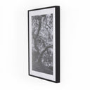 LuxeVista Tree Gaze IV by Coup Desprit - 40X60