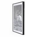 LuxeVista Sonoran Desert by Getty Images - 36X48