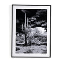 LuxeVista Sonoran Desert by Getty Images - 30X40
