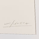 Aria Poetic Architectures No 5 by Valeria Sidanez - 40X60