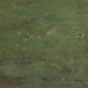 Haven Carrying The Olive Branch No2 by Tyler Guinn - 40X27 Framed Paper