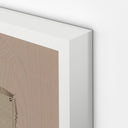 Spectrum Abstract Ombre 17 by Roseanne Kenny - 48X38 White Maple