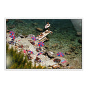 LuxeArt IL Pelicano Beach by Slim Aarons - 48X32