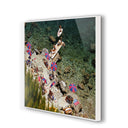 LuxeArt IL Pelicano Beach by Slim Aarons - 72X48