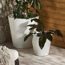 Suvi Planter - Small
