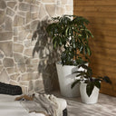 Suvi Planter - Large