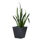 Koto Planter - Small Black Concrete