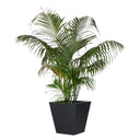 Koto Planter - Large Black Concrete