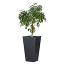 Koto Planter - Tall Black Concrete