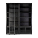 Aeloria Double Bookcase With Ladder - Default Title