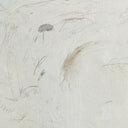 Aurelia Between The Vines and The Sea by Tyler Guinn - 5125X6325