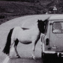 Opulent On The Road III by Annie Spratt - Default Title