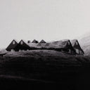 Timeless On The Road II by Annie Spratt - Default Title