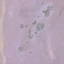 Aria Collection Where The Wild Lilacs Grow by Tyler Guinn - 385X48