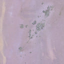 Aria Collection Where The Wild Lilacs Grow by Tyler Guinn - 48X60