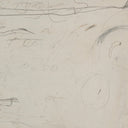 Aurelia Examination Of The Rose by Tyler Guinn - 72X485