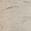 Aurelia Examination Of The Rose by Tyler Guinn - 72X485