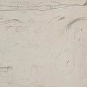 Aurelia Examination Of The Rose by Tyler Guinn - 40X27