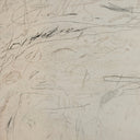 Aurelia Examination Of The Rose by Tyler Guinn - 40X27