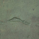 Haven Carrying The Olive Branch No2 by Tyler Guinn - 40X245 Framed Canvas Floater