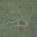 Haven Carrying The Olive Branch No2 by Tyler Guinn - 40X245 Framed Canvas Floater